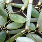 BuzzNest Natural Jade Facial Roller | Anti-Aging Massage Tool